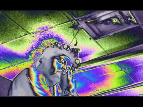 Slim Twig 8.19.10, Excerpt I, The White House, Toronto