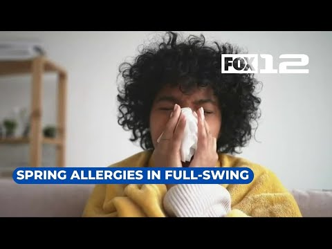 Pollen Count For Salem Oregon