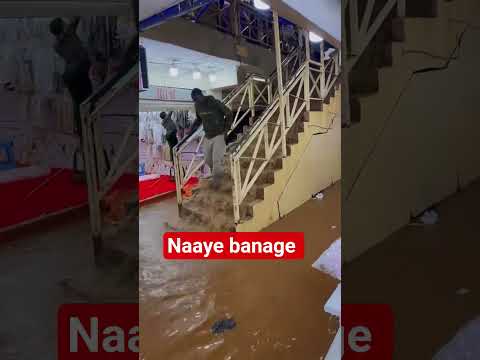 After paying my rent