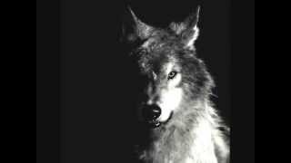 DREAM :A wolf and deceiving spirits in the back yard