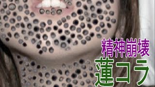 閲覧注意 精神崩壊 蓮コラ画像 موقع ويب حيث يمكنك مشاهدة مقاطع فيديو موسيقية مجانية 閲覧注意 精神崩壊 蓮コラ画像 موقع ويب حيث يمكنك مشاهدة مقاطع فيديو موسيقية مجانية