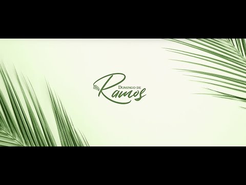 Este domingo de Ramos recibiendo la entrada triunfal de Jesus en su vida.