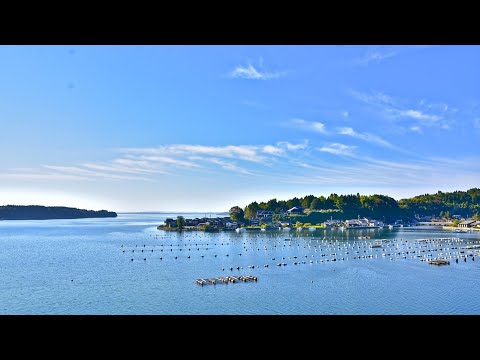 能登中居鋳物館周辺 穴水町のライブカメラ映像