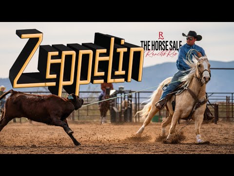 #62 "Zeppelin" - Logan Cullen x The Horse Sale at Rancho Rio
