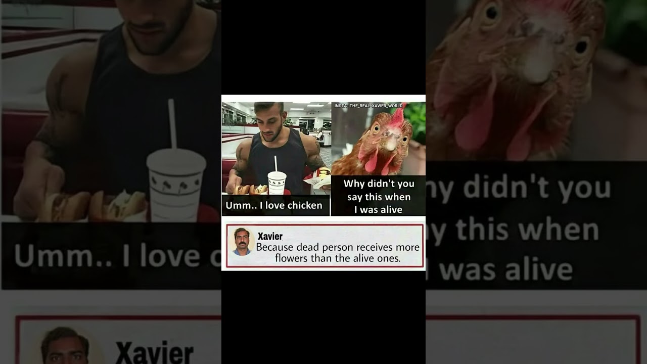 Xavier Drops Philosophy In Meme Comments 😂🐔#memes