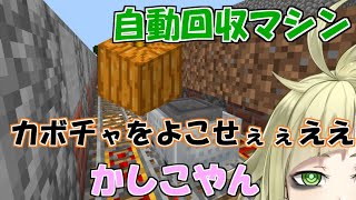 【Minecraft】稼げ！カボチャで億万長者！！（ライブ）【VTuber】