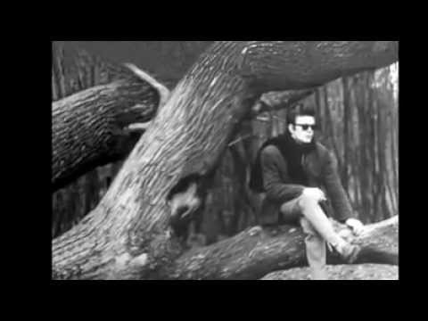 Love Me Tender video