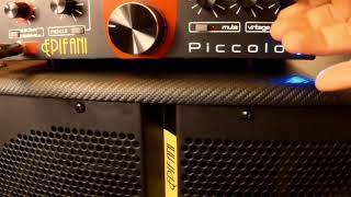 Video thumbnail for Epifani DIST112 and Piccolo head review by Steve The Bass Guy