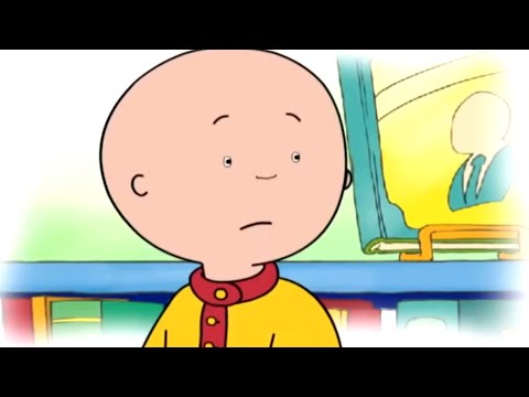 Caillou and the Book Shop | Caillou Cartoon