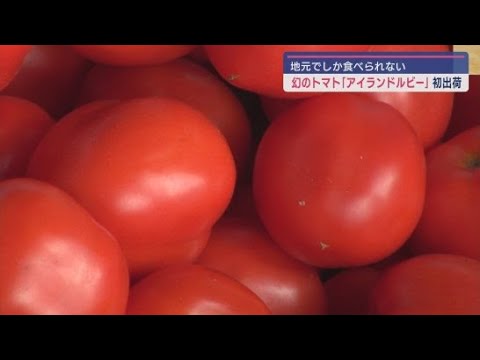 YouTube Video 伊東市と熱海市で栽培される幻のトマト「アイランドルビー」加熱調理専用でリコピンが1.4倍も 静岡・伊東市で初出荷