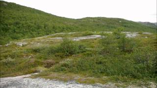 preview picture of video 'Finnmark: Jakobsnes plants and landscape'