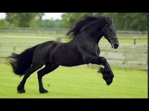 Dooley Silverspoon - Let Me Be The No 1