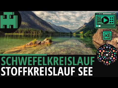 Schwefelkreislauf Stoffkreislauf im See│Biologie Lernvideo[Learning Level Up] [KI]
