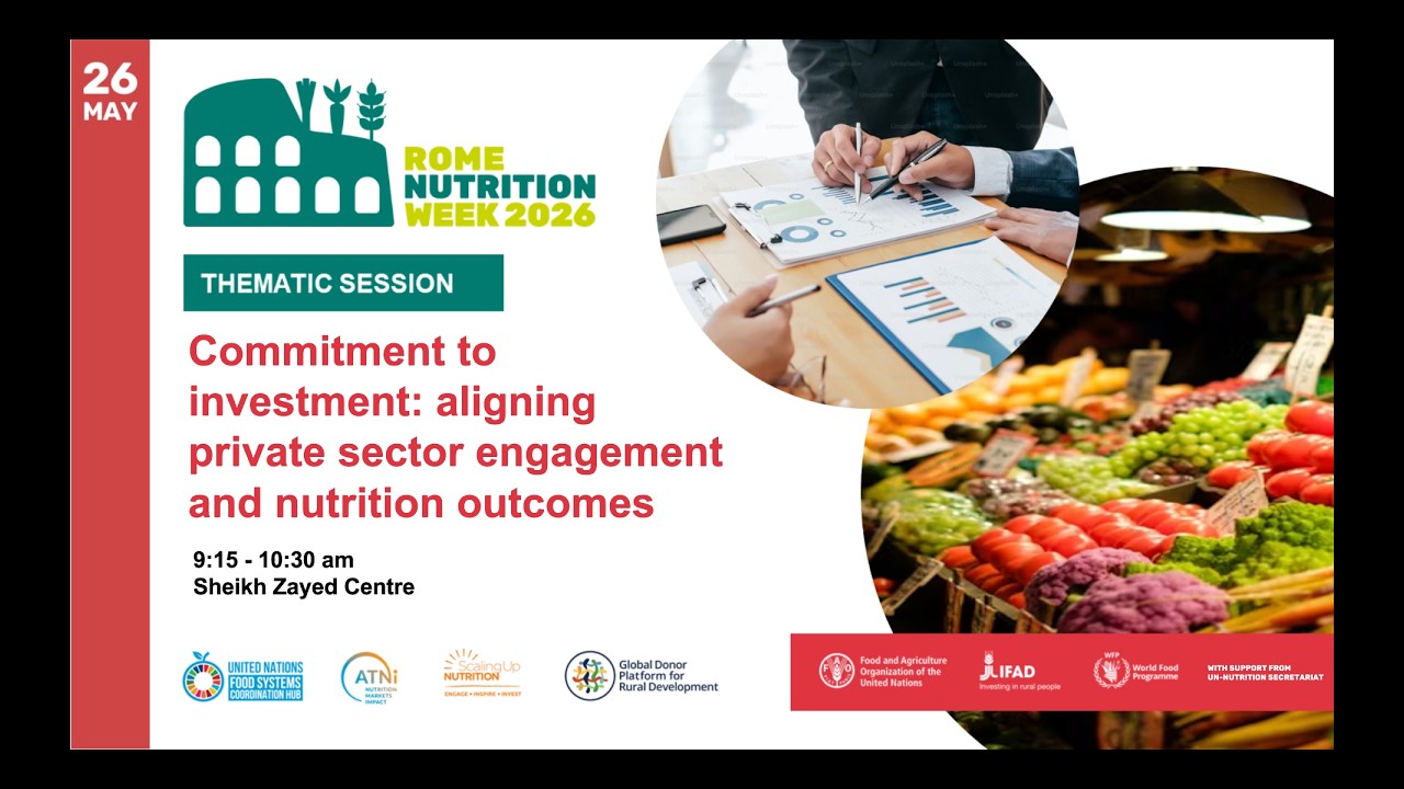 Day 2 - 26 May 2026 - Thematic Session 4 - Commitment to Investment