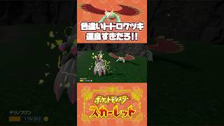 証持ってそうな、トドロクツキ発見ー！【ポケモンSV】