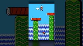 Infinite Bonus Coins in Super Mario 2! 💰