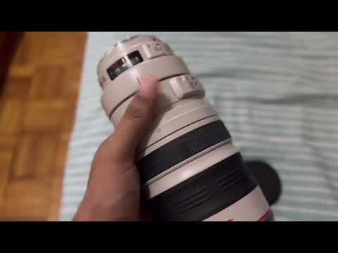The canon 100-400mm ll is a Masterpiece - the best wildlife lens Under $2700!!!🙄