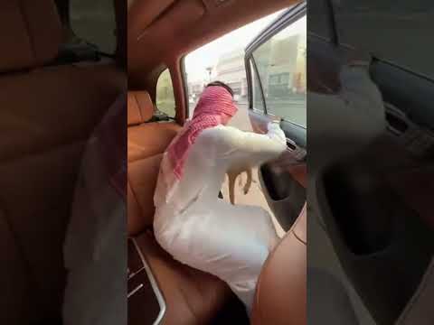 ما توقعت اللي صار وأنا جالس بالخلف!😱 #اكسبلور #ضحك #ذكاء_اصطناعي #ترند #funny #ai #shorts