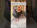 Faisal