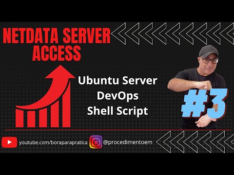 Access Netdata Server
