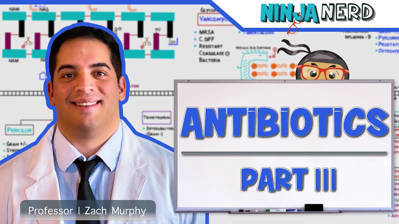 Antibiotics: Protein Synthesis Inhibitors: Part 3