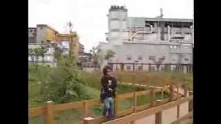 Download lagu Power Metal - Hasrat Kasih (new version) mp3 Download lagu Power Metal - Hasrat Kasih (new version) mp3