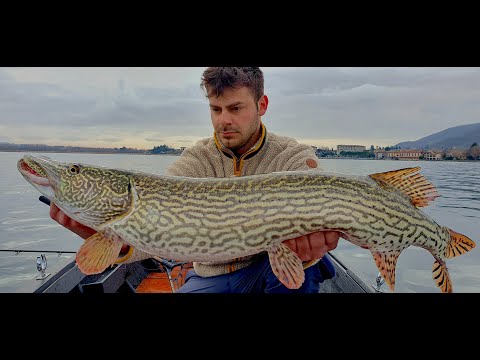 Pike fishing Iseo Lake
