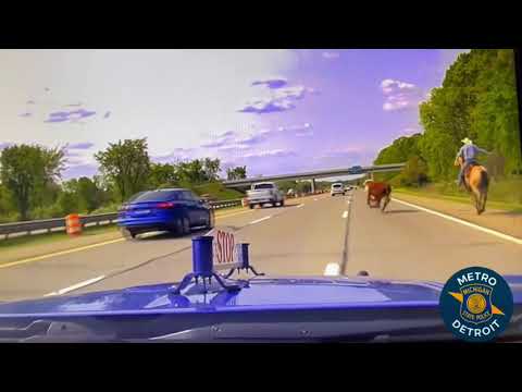 Michigan man arrested for shooting at workers inside business | wtol.com