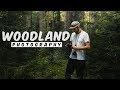 Woodland Photography: An exploration of light with composition tips & ideas