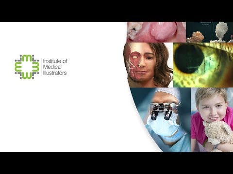 Medical illustrator video 2