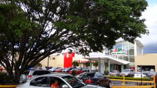 preview picture of video 'The Deafening Sound of a 100 Parrots Outside Multiplaza, Escazu. Costa Rica.'