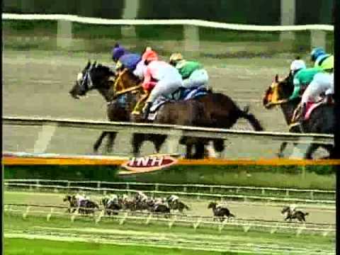 13ma Carrera Domingo 01 Diciembre 2013 LA RINCONADA