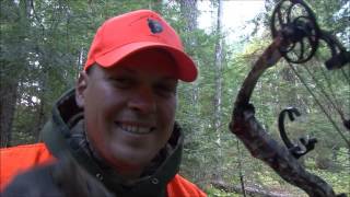 Ontario Bear Hunt Thaddeus Lake Lodge 2016