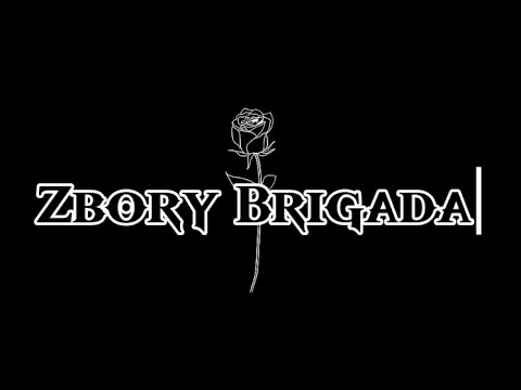 DazyZRP.com -- Zbory Brigada Montage