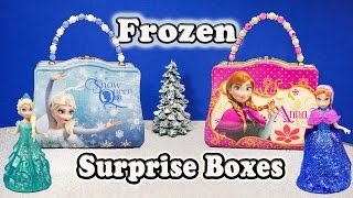 Elsa and Anna Funny Surprise Lunch Boxes with the Assistant
