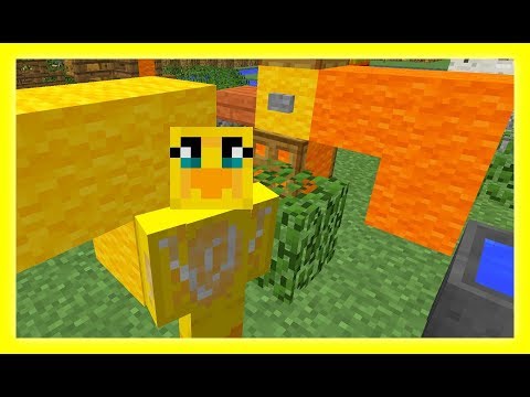 Feather Adventures :  ANTELOPE & BUFFALO - {264}