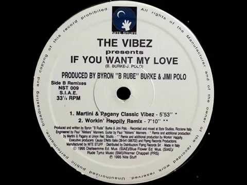 The Vibez - If You Want My Love (Martini & Pagany Classic Vibez)