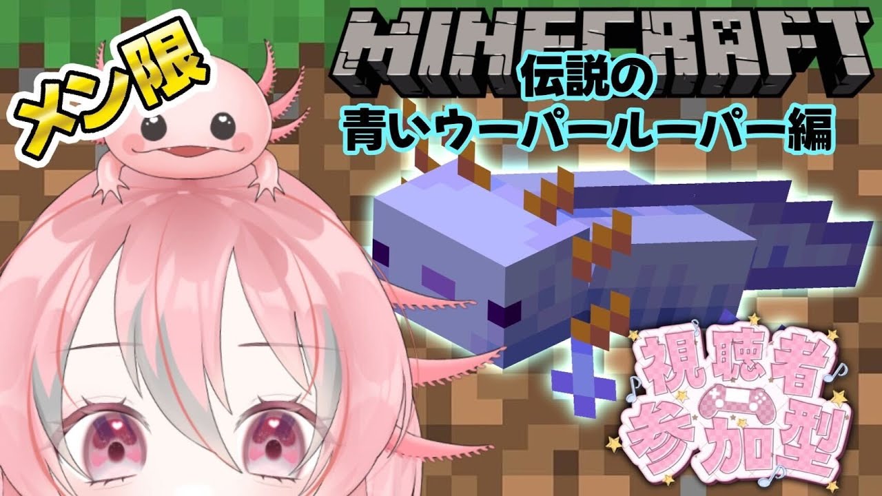 【青ウパ厳選】伝説の青いウーパールーパーに出会いたい 3日目【ウパランド】