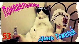 Понедельник день тяжелый - Приколы 2017 - КУБИЗИЛЫ 53 (16+) Funny Video