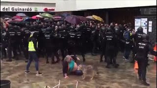 Miniatura do vídeo