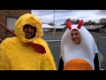 Chicken Vs Egg Race