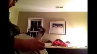 Blue ridge cabin home by Lester flatt and earl Scruggs