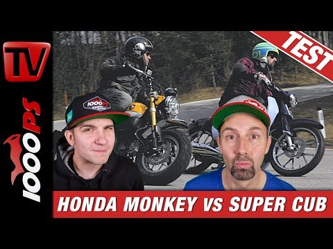 Honda Monkey vs. Super Cub - welches 125er-Funbike hat den besseren Style?