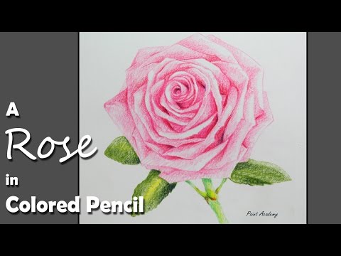 How to Draw A Rose in Colored Pencil