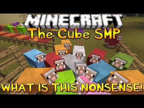 The Cube SMP - Episode 24 - WHAT IS THIS NONSENSE!?!?