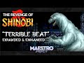 Terrible Beat Expanded Enhanced THE REVENGE OF SHINOBI