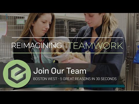 Boston West 5 reasons in 30 seconds
