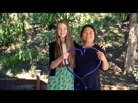 Q-Flex Shark Tank Pitch