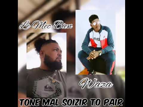 Tone mal souzir to pair Le mec bien ft waza
