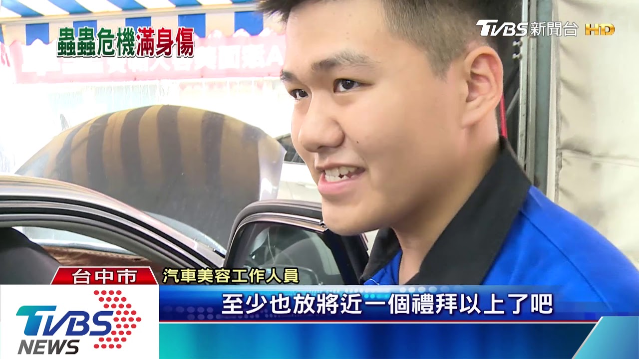 孩童腹背遭叮咬! 竟是汽車安全椅內藏蟲